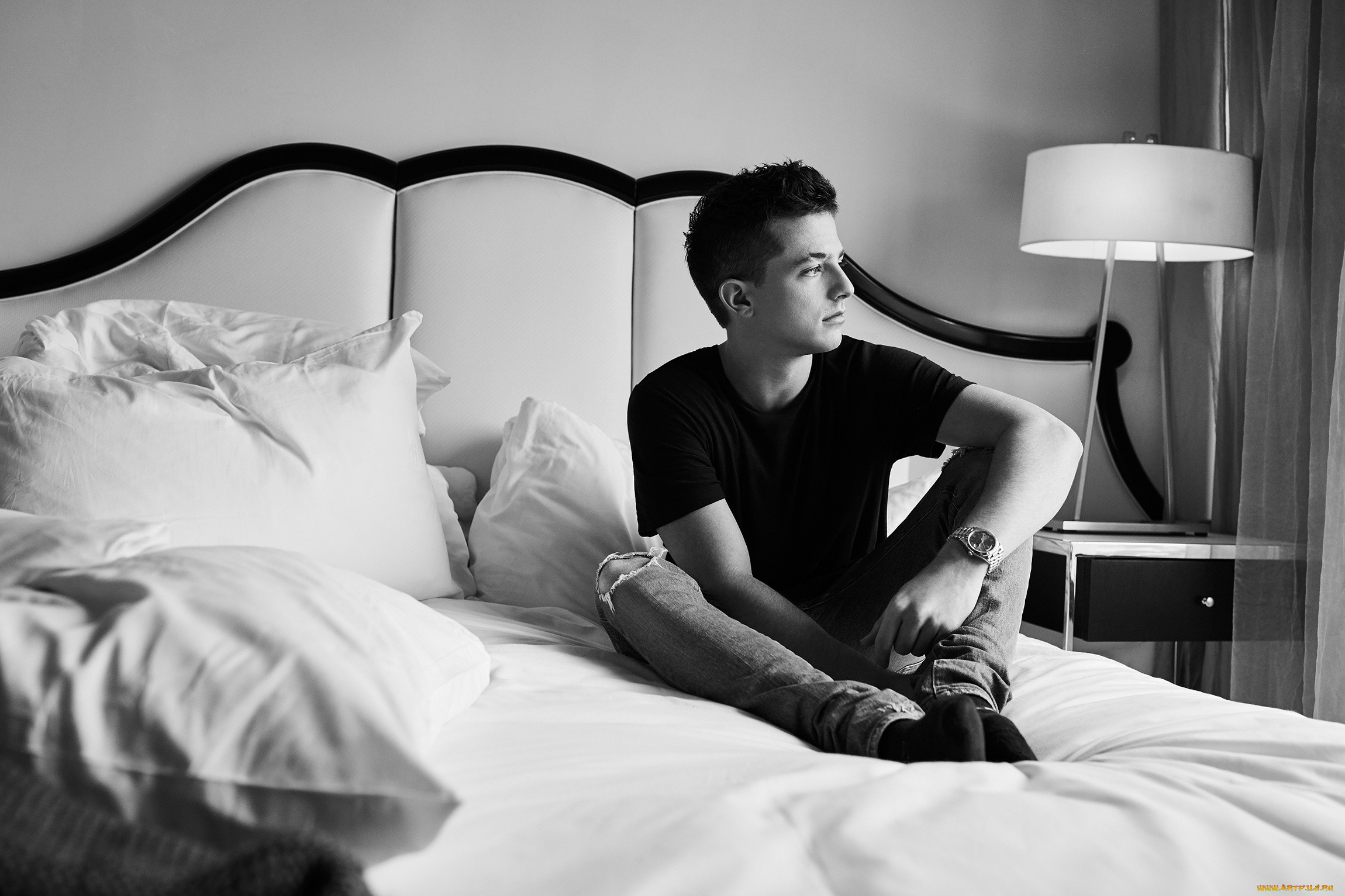 , shawn mendes, charlie, puth